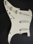 DiMarzio Pre-Wired Area model