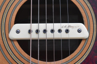 L.R. Baggs M1 pasivni pick-up