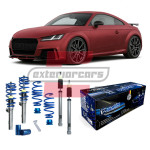 Audi TT / TTS / TT RS (14-18) - Gewinde JOM BlueLine