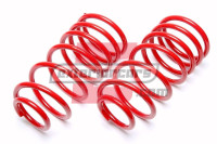 BMW 5er F11 xDrive karavan (10-17) - Opruge Ta Technix 30mm