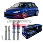 PEUGEOT 206 (98-08) - Gewinde JOM BlueLine