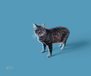 HETTY (Masni brkovi)