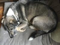 Duga traži novog vlasnika