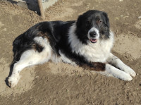 JURA traži svoje ljude - udruga Šapica