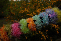 Lot , Lastici za kosu 1000 kom za 120 e, nakit za kosu