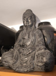 Kip Buddha NOVO