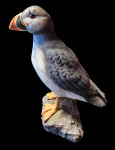 PUFFIN - ručno rađen i bojan