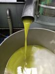 10/2023 Mlado Extra djev.maslinovo ulje sa Vrane