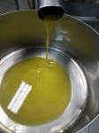maslinovo ulje - dalmatinsko ulje
