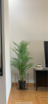 Ikea Fejka umjetna biljka palma