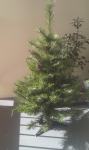 Prodajem umjetno božićno drvce 120cm