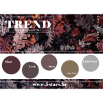 5 STARS TREND COLOR GEL COLLECTION