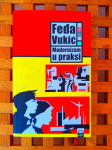 Feđa Vukić MODERNIZAM U PRAKSI NOVO!