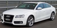 Audi A5 Sportback 2008-2015. godina 2.0 TDI, 2.7 TDI, 3.0 TDI DIJELOVI
