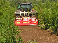 Malčiranje, krčenje, čišćenje i košnja zapuštenih površina