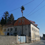 USLUGA RUŠENJA I ODVOZA DRVEĆA  - Grad Zagreb i okolica