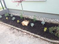 Sadnja ukrasnog bilja i žive ograde