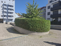 Košnja trave,šišanje živih ograda,krčenje,čišćenje zapuštenih parcela