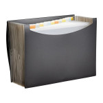 AmazonBasics A4 mapa s 13 pretinaca – crna