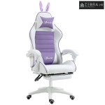 Ergonomska gamerska stolica s lumbalnom potporom, osloncem za noge, ze