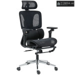 Ergonomska uredska stolica s podesivim osloncem, naslonima za ruke i n