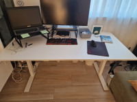 Podesivi radni stol (Standing desk)