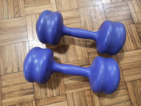 Utezi bučice 2 x 8kg