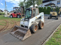 Bobcat