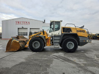 LIEBHERR L580X Power  2018g