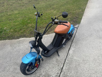 Motor Elektric MANGOSTEEN NOV