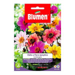 sjeme Dalija jednostruka mix boja