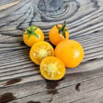 RAJČICA ŽUTA I CRVENA ŠERI,OKRUGLI PLODOVI, 30 sjemenki