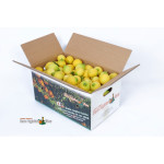 sadnice agruma (limun, kumkvat,naranča,mandarina,kalamondino,kiinoto)