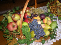 ORGANSKO VOĆE  099/678-141