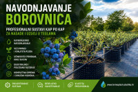 Navodnjavnje BOROVNICA(američkih i sibirskih)