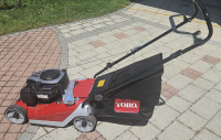 Kosilica - Benzin - Briggs & Stratton malo Koristena u odlicnom stanju