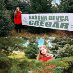 Mreža za pakiranje božićnih drvaca