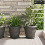 Saksije za biljke 24 pcs Crna Ø 26 x 21.5 cm Plastika