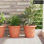 Saksije za biljke 24 pcs Crvena cigla Ø 26 x 21.5 cm Plastika