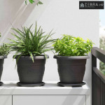 Saksije za biljke 6 pcs Crna Ø 26 x 21.5 cm Plastika