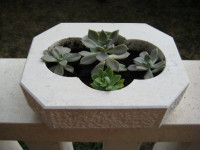 Kamena posuda(vaza) za cvijeće