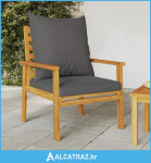 Vrtna stolica s jastucima 2 kom od masivnog bagremovog drva - NOVO