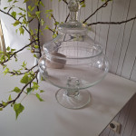 Staklena zdjela s poklopcem