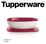 Tupperware Četvrtasta Allegra 2,5L