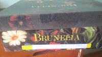 Ženske kožne čizme Brunella