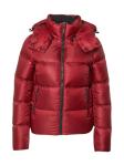 Calvin Klein zimska jakna tamno crvena, S veličina, novo