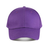 LJUBIČASTA ŠILTERICA -  NOVO