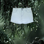 Roccobarocco kratke hlače 38