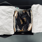 Jordan 3 Retro SE Animal Instinct