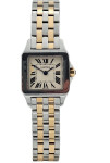 Cartier Santos Demoiselle Steel Gold